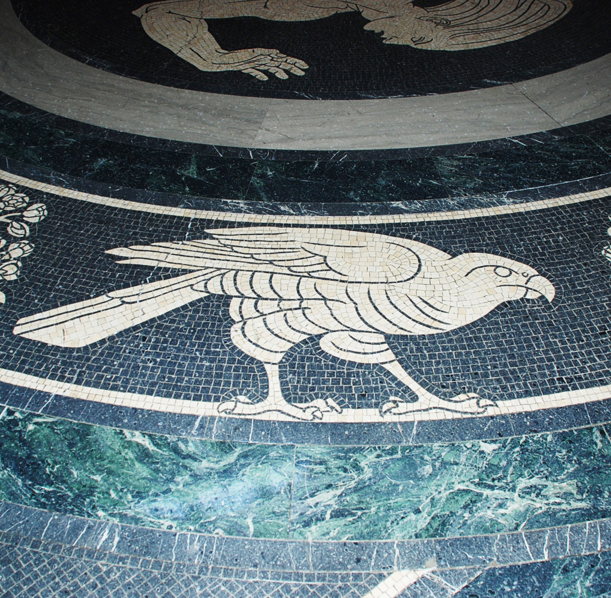 Peregrine Falcon Update Nebraska State Capitol