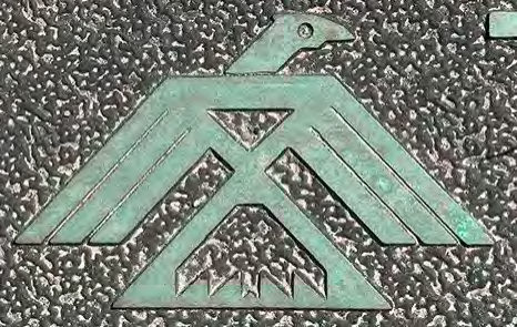 The Thunderbird represents life-giving rain, important to native