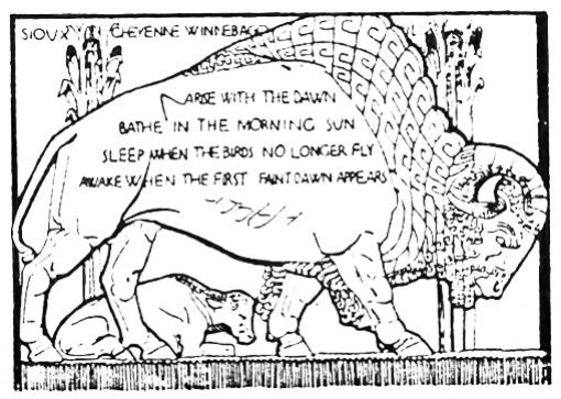 Bison Panels Represent Native Americans