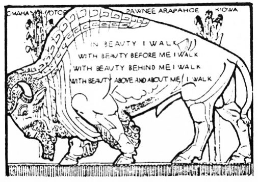 Bison Panels Represent Native Americans