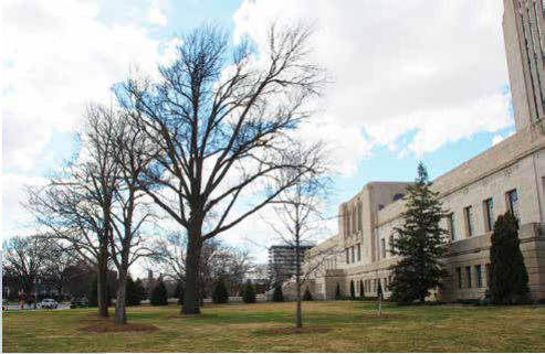 13. Walk to the east side
